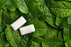 How Xylitol Helps Balance the Oral Microbiome, Wellnesse